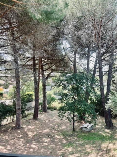 Apartment A Torra *
